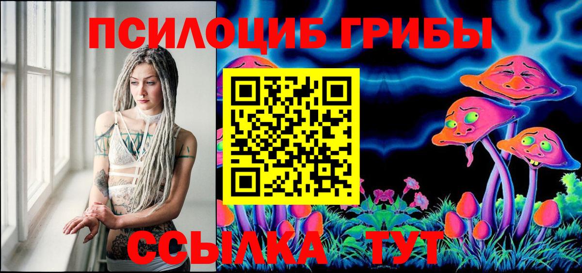 Псилоцибиновые грибы Cubensis  Вход с VPN  Кувандык 